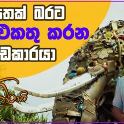 ඇ‌තෙක් බරට කුණු එකතු කරන වැඩකාරයා - Pitagamkaraya - පිටගම්කාරයා