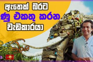 ඇ‌තෙක් බරට කුණු එකතු කරන වැඩකාරයා - Pitagamkaraya - පිටගම්කාරයා