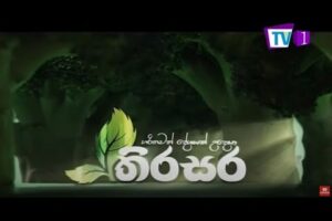 තිරසර - Thirasa - 2021.02.24