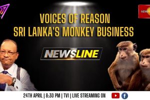 Voices of reason. Sri Lanka’s Monkey Business - 2023.04.24